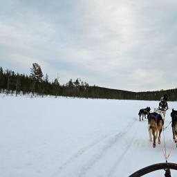 finnland rundreise 2025_64